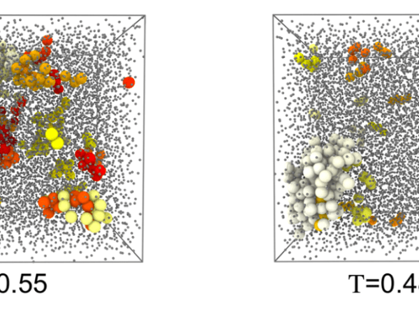 Probing excitations and cooperatively rearranging regions in deeply supercooled&nbsp;liquids