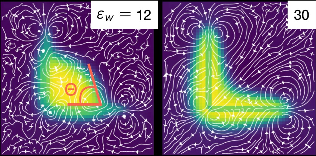 fluxes active matter